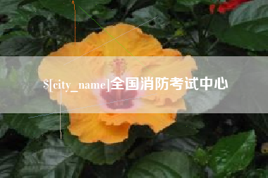 招远全国消防考试中心