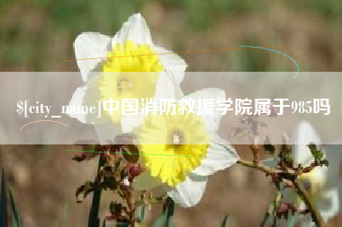 招远中国消防救援学院属于985吗