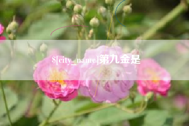 招远第九金是
