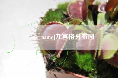 招远九宫格分布图