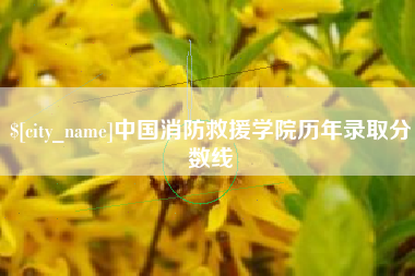 招远中国消防救援学院历年录取分数线