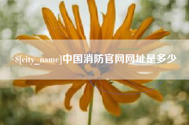 招远中国消防官网网址是多少
