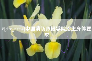 招远中国消防救援学院招生身体要求