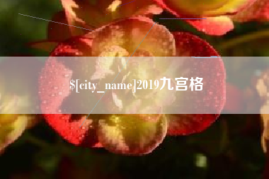 招远2019九宫格