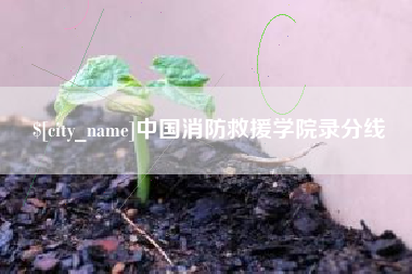 招远中国消防救援学院录分线