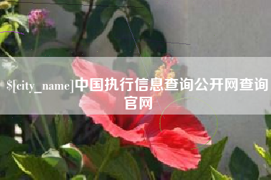 招远中国执行信息查询公开网查询官网