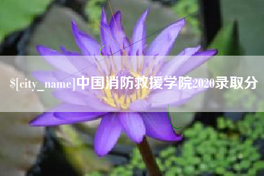 招远中国消防救援学院2020录取分