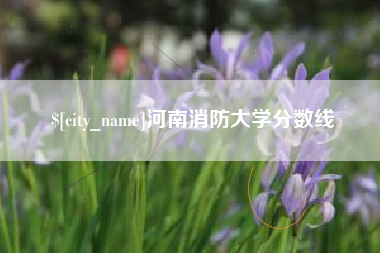 招远河南消防大学分数线