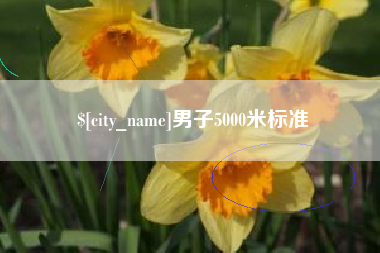 招远男子5000米标准