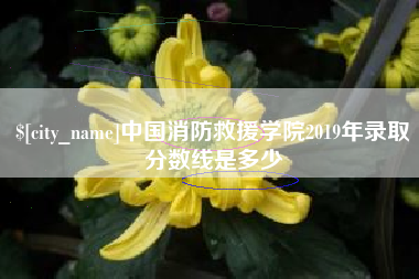 招远中国消防救援学院2019年录取分数线是多少