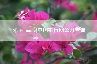招远中国执行网公开查询