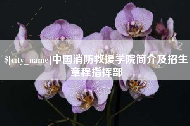 招远中国消防救援学院简介及招生章程指挥部