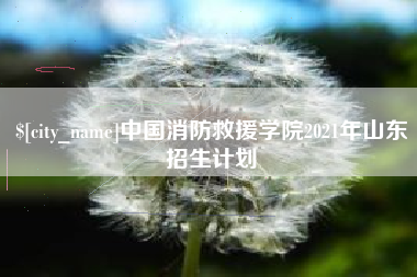 招远中国消防救援学院2021年山东招生计划