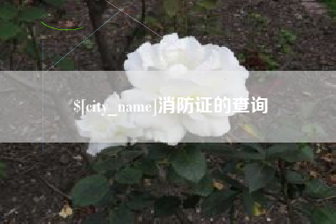 招远消防证的查询