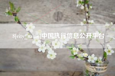 招远中国执行信息公开平台