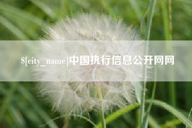招远中国执行信息公开网网