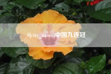 招远中国九连冠