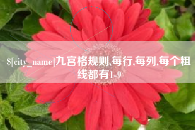 招远九宫格规则,每行,每列,每个粗线都有1-9