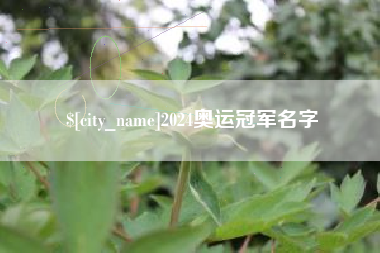 招远2024奥运冠军名字