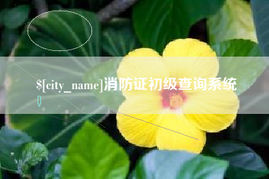 招远消防证初级查询系统