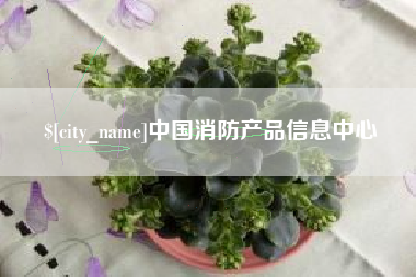 招远中国消防产品信息中心
