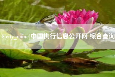 招远中国执行信息公开网 综合查询
