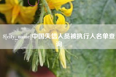招远中国失信人员被执行人名单查询