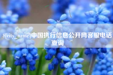 招远中国执行信息公开网客服电话查询