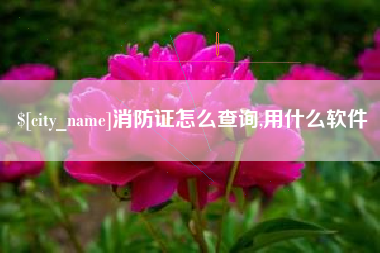 招远消防证怎么查询,用什么软件