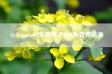 招远全国男子5000米世界纪录