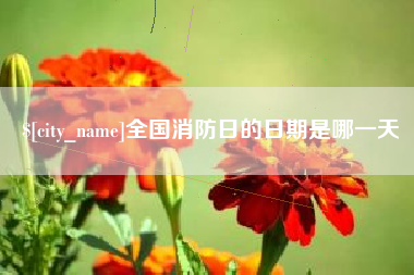 招远全国消防日的日期是哪一天