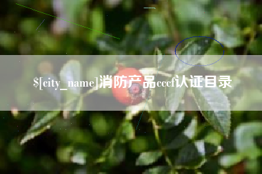 招远消防产品cccf认证目录