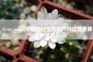招远中国执行信息公开网信息更新时间是多久