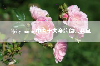 招远中国十大金牌律师名单