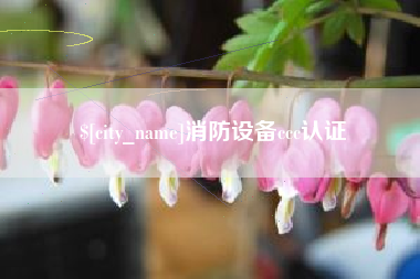 招远消防设备ccc认证