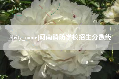 招远河南消防学校招生分数线