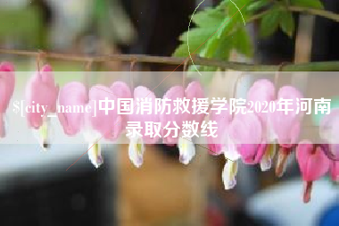 招远中国消防救援学院2020年河南录取分数线