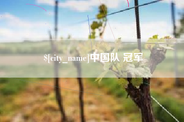 招远中国队 冠军