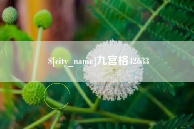 招远九宫格42633