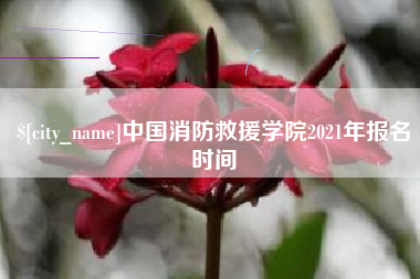 招远中国消防救援学院2021年报名时间