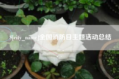 招远全国消防日主题活动总结