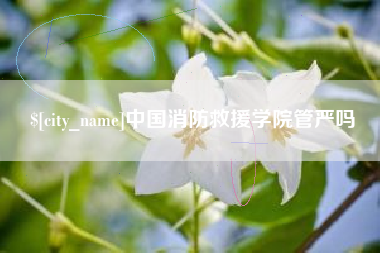 招远中国消防救援学院管严吗