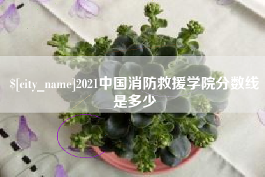 招远2021中国消防救援学院分数线是多少