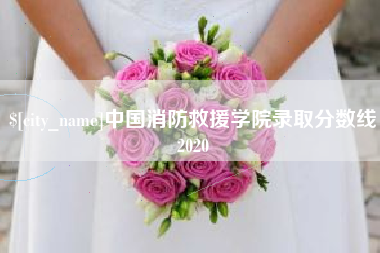 招远中国消防救援学院录取分数线2020
