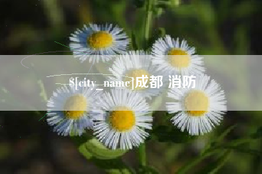 招远成都 消防