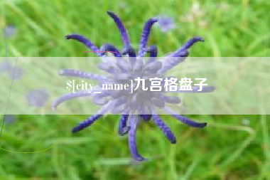 招远九宫格盘子