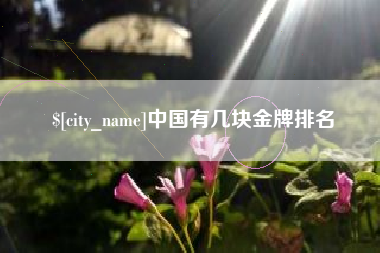 招远中国有几块金牌排名