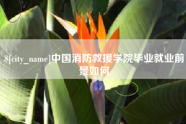 招远中国消防救援学院毕业就业前景如何