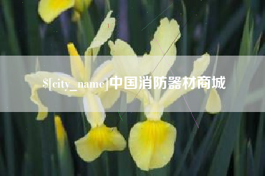 招远中国消防器材商城