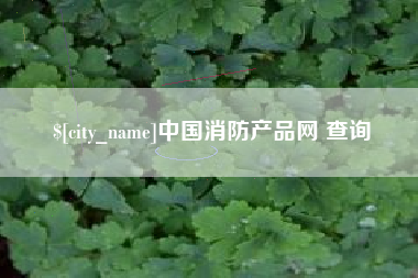 招远中国消防产品网 查询